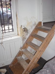 Escalier bois brut